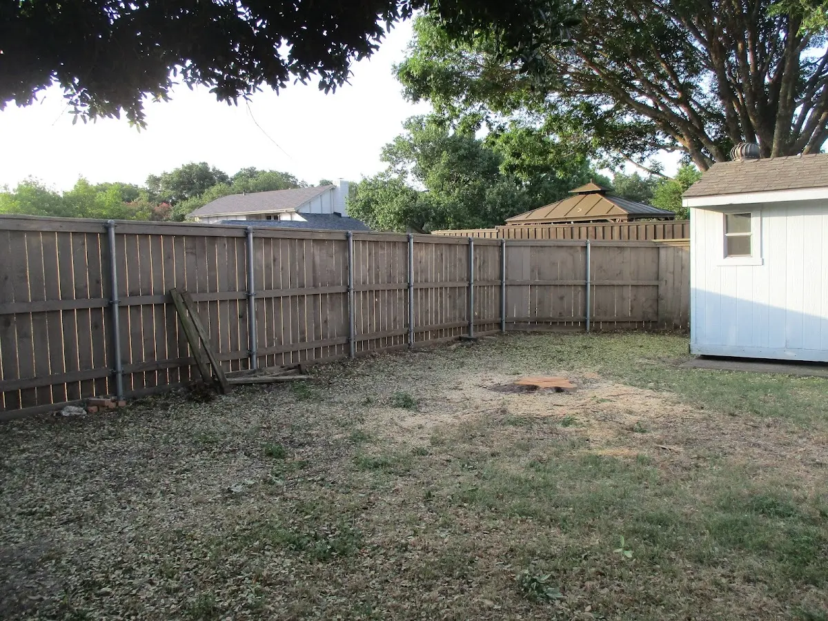 Cleared yard after professional tree removal in Luthersville